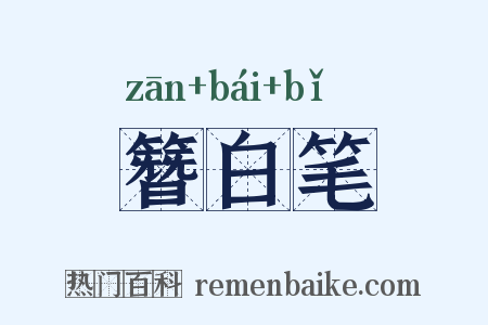 簪白笔是什么意思的图片